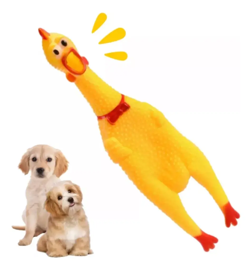 D_NQ_NP_2X_903765-MLM82679010614_032025-F.webp