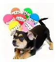 D_NQ_NP_2X_732622-MLM82680583912_032025-F.webp