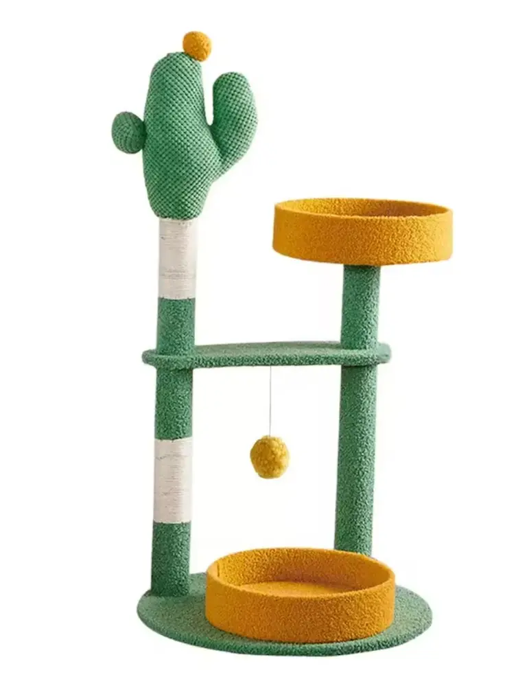 Nido de Gato - Cactus Verde